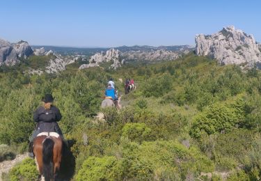 Trail Horseback riding Maussane-les-Alpilles - 2019-04-30 Rando CVA Alpilles Ranch Petit Roman Boucle - Photo