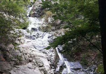 Tour Zu Fuß Casteil - Gorges du Cady et cascade Dietrich  - Photo
