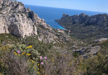 Trail Walking Marseille - Boucle vers Sormiou - Photo