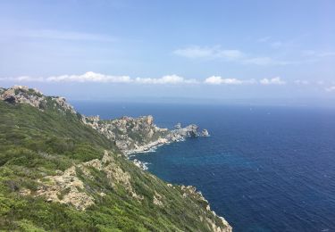 Trail Walking Hyères - Porquerolle côté Est (Pointe des Mèdes) - Photo