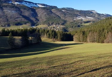 Tour Wandern Lans-en-Vercors - bec de l'aigle cascade du bruyant - Photo