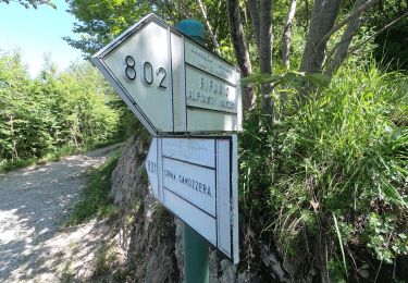 Randonnée A pied Calolziocorte - Sentiero 812: Lorentino (Calolziocorte) - Passo della Pertulena - Photo
