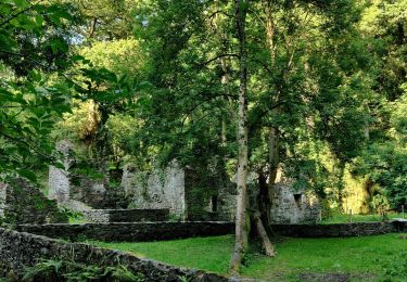 Tour Zu Fuß Matignon - Du bois bras à la Fresnay par le moulin de la mer  - Photo