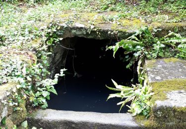 Excursión Senderismo Île-aux-Moines - tour de l'île aux moines au 11 juin 2019 - Photo