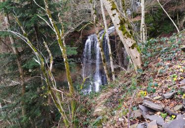 Trail Walking Saint-Sauves-d'Auvergne - test - Photo