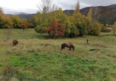 Tocht Paardrijden Bourdeaux - Bourdeaux~Poêt Laval  - Photo