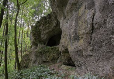 Trail On foot Königstein - Rundweg Königstein – Fichtenhof - Photo