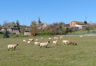 Randonnée A pied Le Nayrac - Un Village Fleuri - Photo