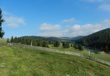 Randonnée A pied Passail - Wanderweg 45 - Photo