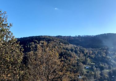 Tour Nordic Walking Basse-sur-le-Rupt - col de Menufosse - Photo