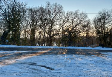 Tocht Stappen Sambreville - etang et alliage moignelee - Photo