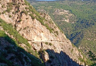 Excursión Senderismo Thuès-Entre-Valls - Gorges de Carança - Annie le 29 juin 2022 - Photo