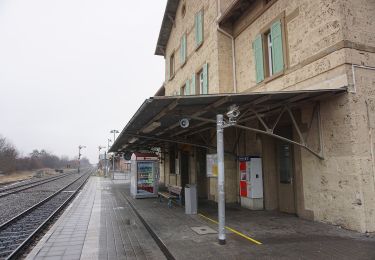 Tocht Te voet Mössingen - Zugangsweg - Mössingen - Weg-3 - Bahnhof Mössingen - Richtung Dreifürstenstein (In Weg 2) - Photo