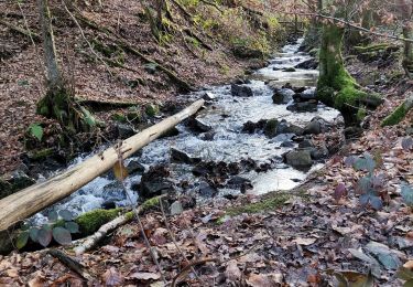 Tocht Stappen Sprimont - Promenade du fond des trois bois. - Photo