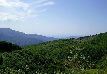 Randonnée A pied Neirone - Sella della Giassina - Barbagelata - Photo