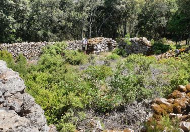 Tour Wandern Saint-Marc-Jaumegarde - les vegans.lili - Photo