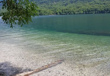 Randonnée Marche Bohinj - Lac de Bohinj - Photo