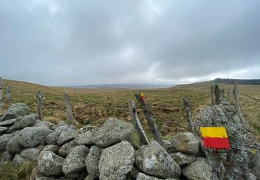 Excursión Senderismo Laguiole - Vergne noire - Photo