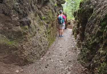 Trail Walking Angomont - Le champ de bataille de la Chapelotte - Photo