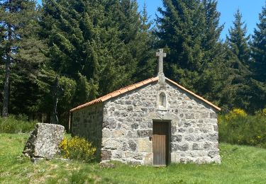 Excursión Senderismo Vielprat - De Le Bessel à Issanlas - Photo