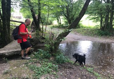 Tour Wandern Couvin - Prologue Eau Noire - Photo