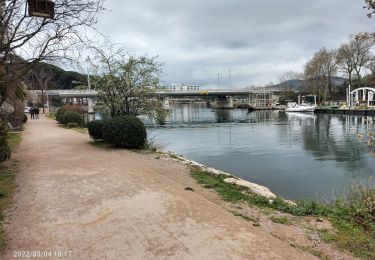 Tocht Noords wandelen Mandelieu-la-Napoule - Robinson cannes - Photo