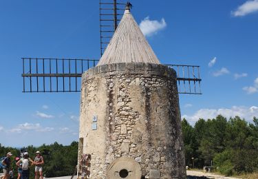 Trail Walking Fontvieille - le moulin de Daudet - Photo