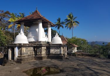 Randonnée Marche  - Sri-07 Kandy - Gelioya - Randonnée des Trois Temples - Photo