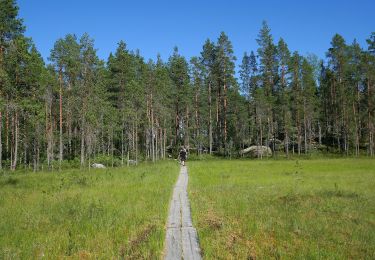 Trail On foot Ruovesi - Helvetistä itään - Photo