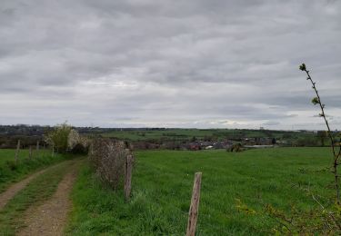 Randonnée Marche Liège - chu walking tour - Photo