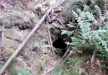 Excursión A pie Wennigsen (Deister) - Hüttenwanderung im Deister - Photo