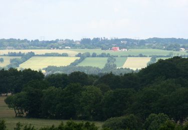 Tour Zu Fuß  - Grön 10 000 m - Photo