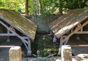 Tocht Stappen Soisy-sur-École - 2020-06-01 Dannemois Courances Soisy 16 km - Photo