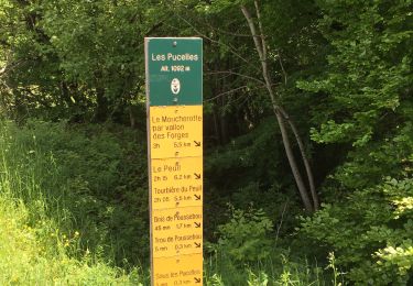 Tour Wandern Saint-Nizier-du-Moucherotte - Un petit AR sur le sentier du Périmètre  - Photo