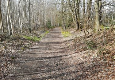 Trail Walking Bernay - bois de Champeaux 1 - Photo