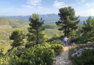 Trail Nordic walking Carnoux-en-Provence - Mn par la couette - Photo
