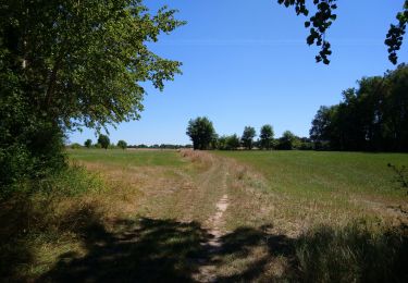 Trail Walking Pont-de-Ruan - Pont-de-Ruan - Couteau - 14.1km 120m 3h15 - 2022 07 08 - Photo
