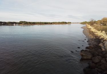 Randonnée Marche La Grande-Motte - En bordure du Ponant  - Photo