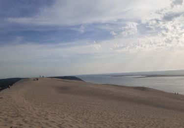 Randonnée Marche La Teste-de-Buch - arcachon dune de pyla  - Photo