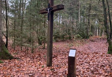 Trail Walking Saint-Léger - Chemin des croix - Photo