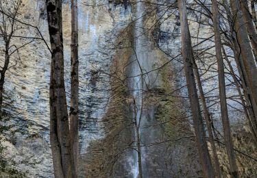 Trail Mountain bike Innimond - innimond cascade du Luizet AR - Photo