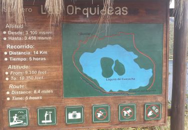 Tour Wandern Quiroga - laguna Cuicocha - Photo