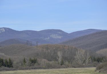 Tocht Te voet Eger - P+ (Felnémet-Varró-ház) - Photo