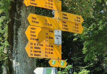 Tour Zu Fuß Fontenais - Les Chainois-Seleute - Photo