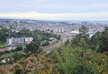 Tour Zu Fuß Cherbourg-en-Cotentin - Séjour Cotentin Etape 7 Boucle Cherbourg avant départ - Photo