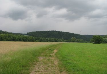 Randonnée A pied Inconnu - Großer Rundweg - Photo