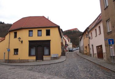 Excursión A pie Freyburg (Unstrut) - Neuenburg Rundweg - Photo