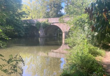 Trail Walking Saint-Aubin-des-Ormeaux - Saint Aubin des Ormeaux - Photo