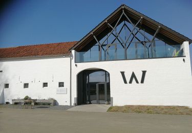 Randonnée Marche Tubize - A la découverte du vignoble du Domaine W - Photo