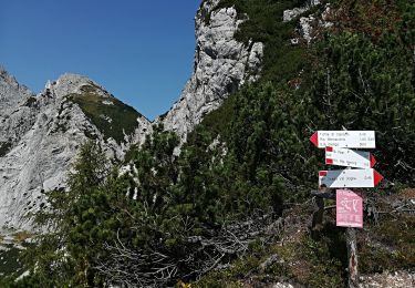 Tour Zu Fuß Dogna - Sentiero Battaglione Alpini Gemona - Photo